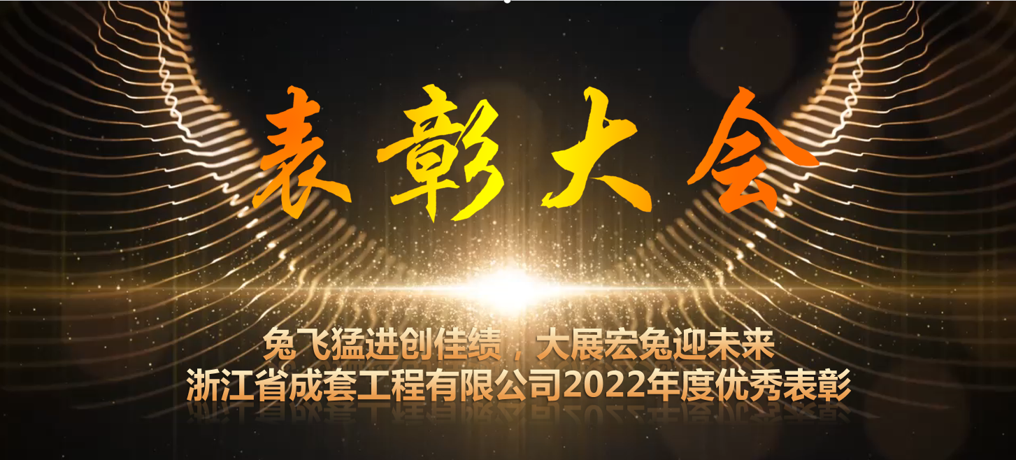 兔飞猛进创佳绩，大展宏兔迎未来——浙江省成套工程有限公司2022年度优秀表彰大会